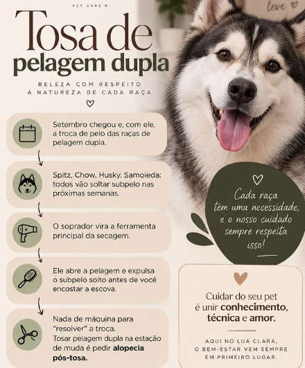 Tosa e cuidados para Spitz, Husky, Chow Chow e Samoieda em Presidente Prudente